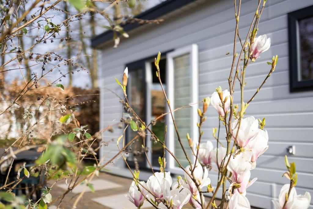 Gezellig Modern Chalet Midden Op De Veluwe Епе Екстериор снимка